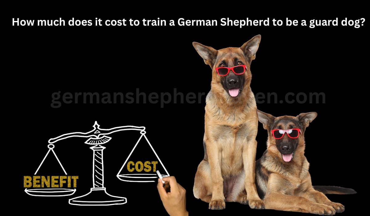 How much does it cost to train a German Shepherd to be a guard dog?