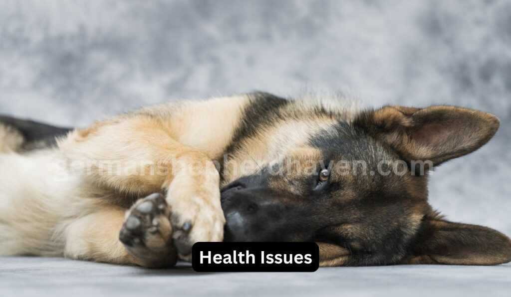 Health Considerations