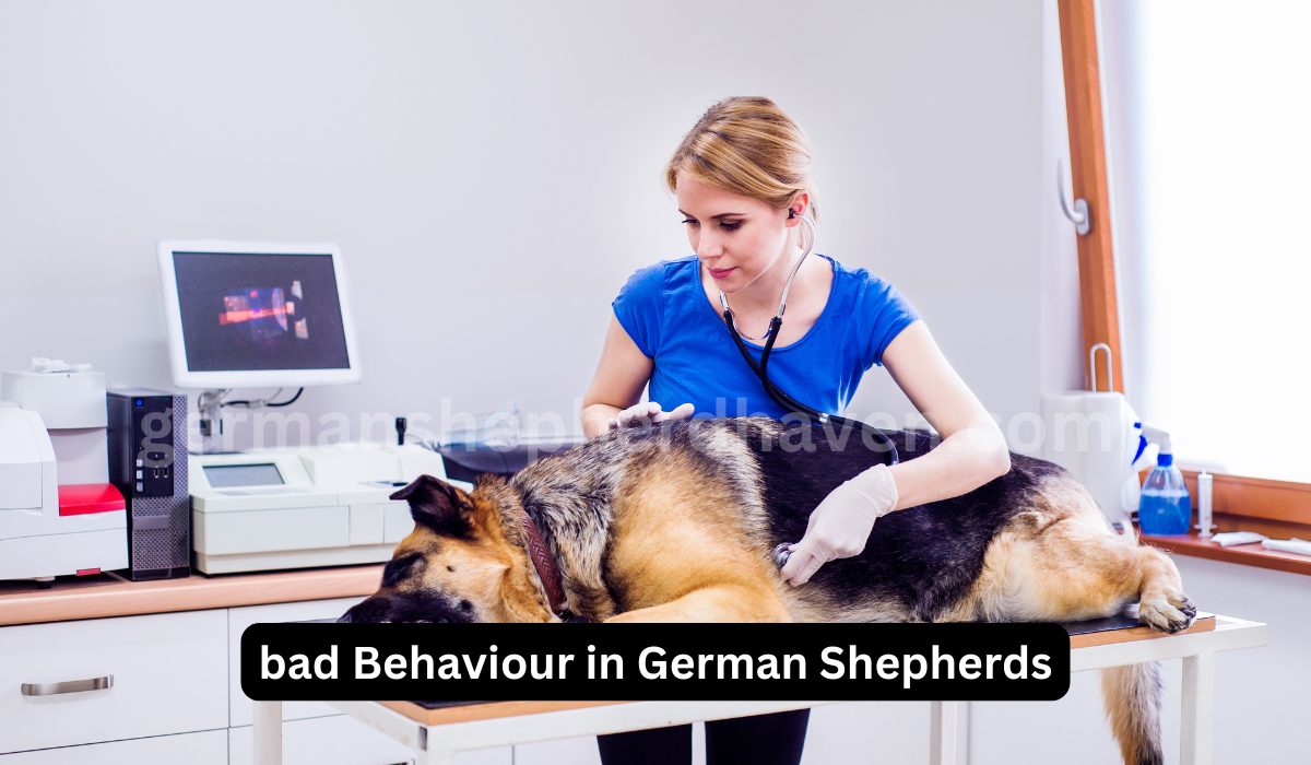 What is bad Behaviour in German Shepherds?