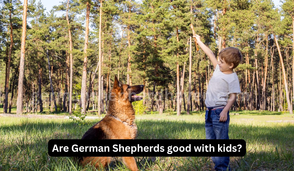 Are German Shepherds good with kids?: A Comprehensive Guide for Families