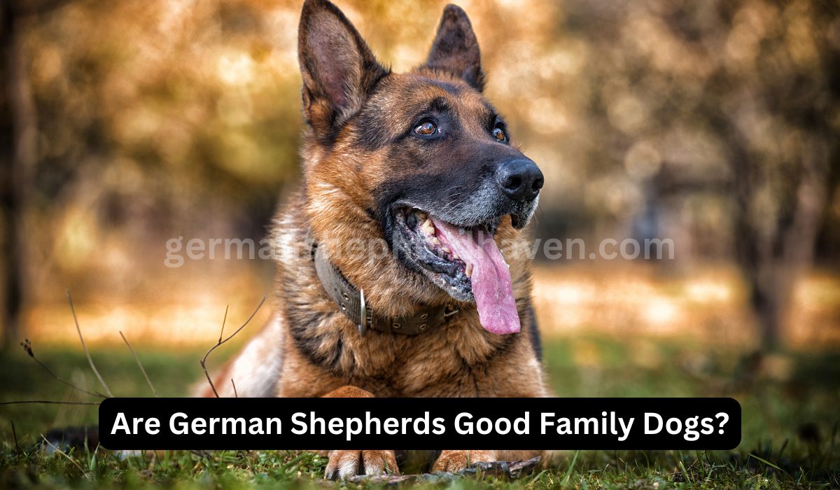 Are German Shepherds Good Family Dogs?